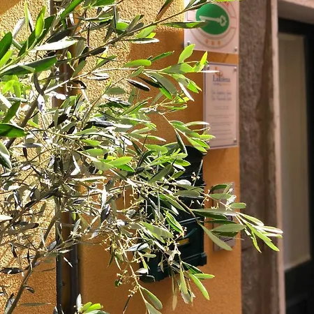 Guest house La Polena - Vista Mare Vernazza